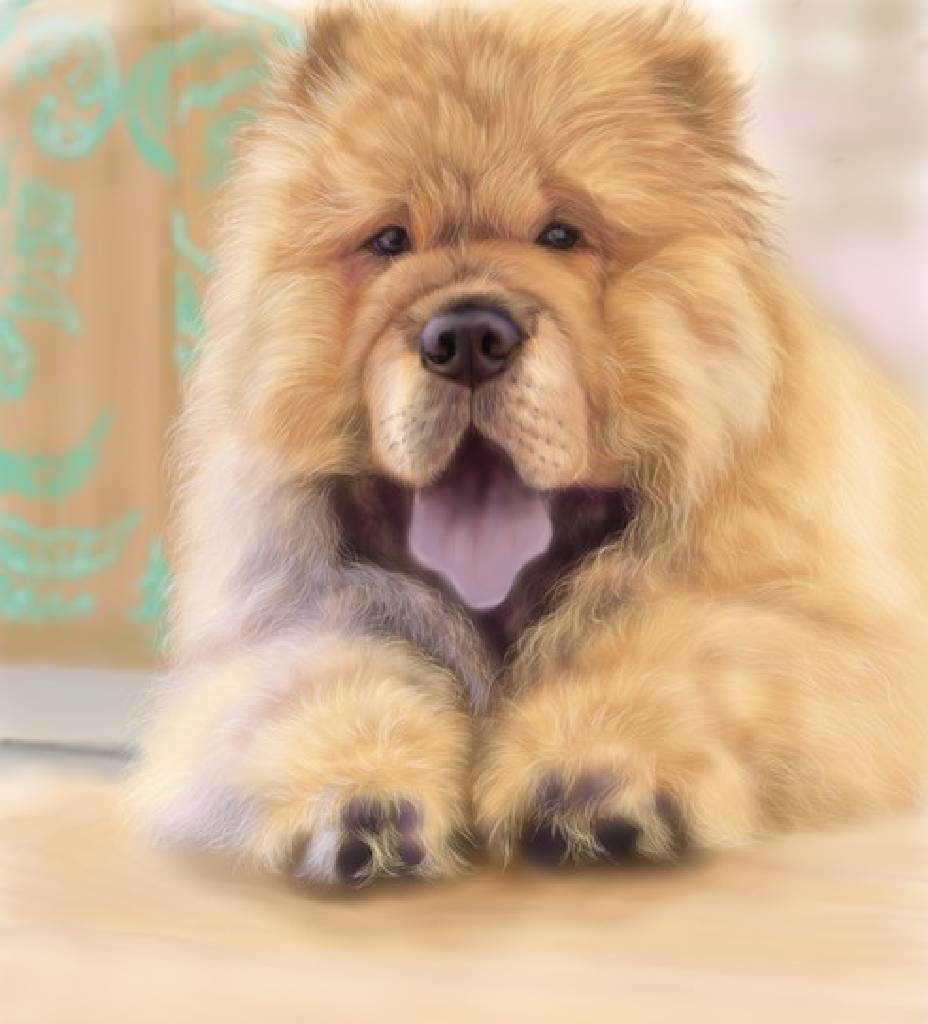 方可成-蓬鬆的奇蹟