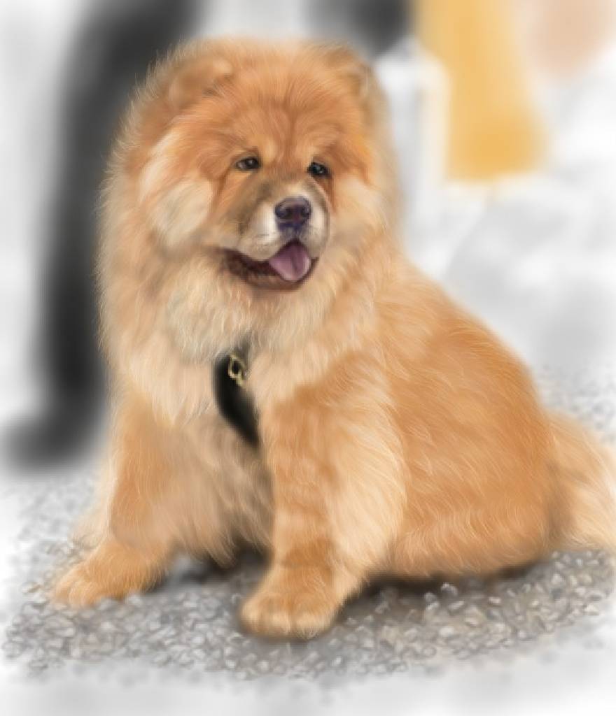 方可成-目光的溫度