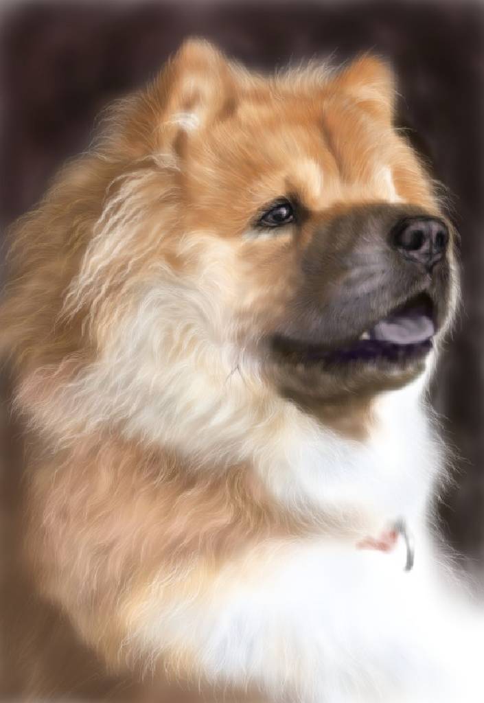 方可成-毛絨王者