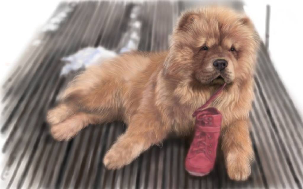 方可成-鞋帶小賊