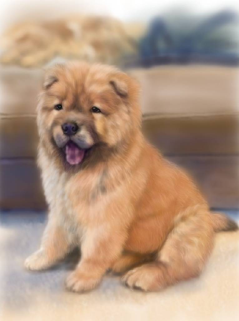 方可成-暖毛之境