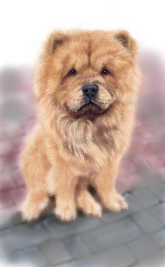 方可成-目光的語言