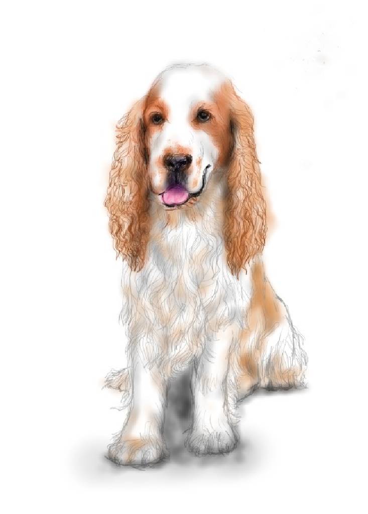 方可成-長髮貴族