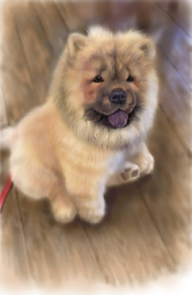 方可成-眼中的溫柔