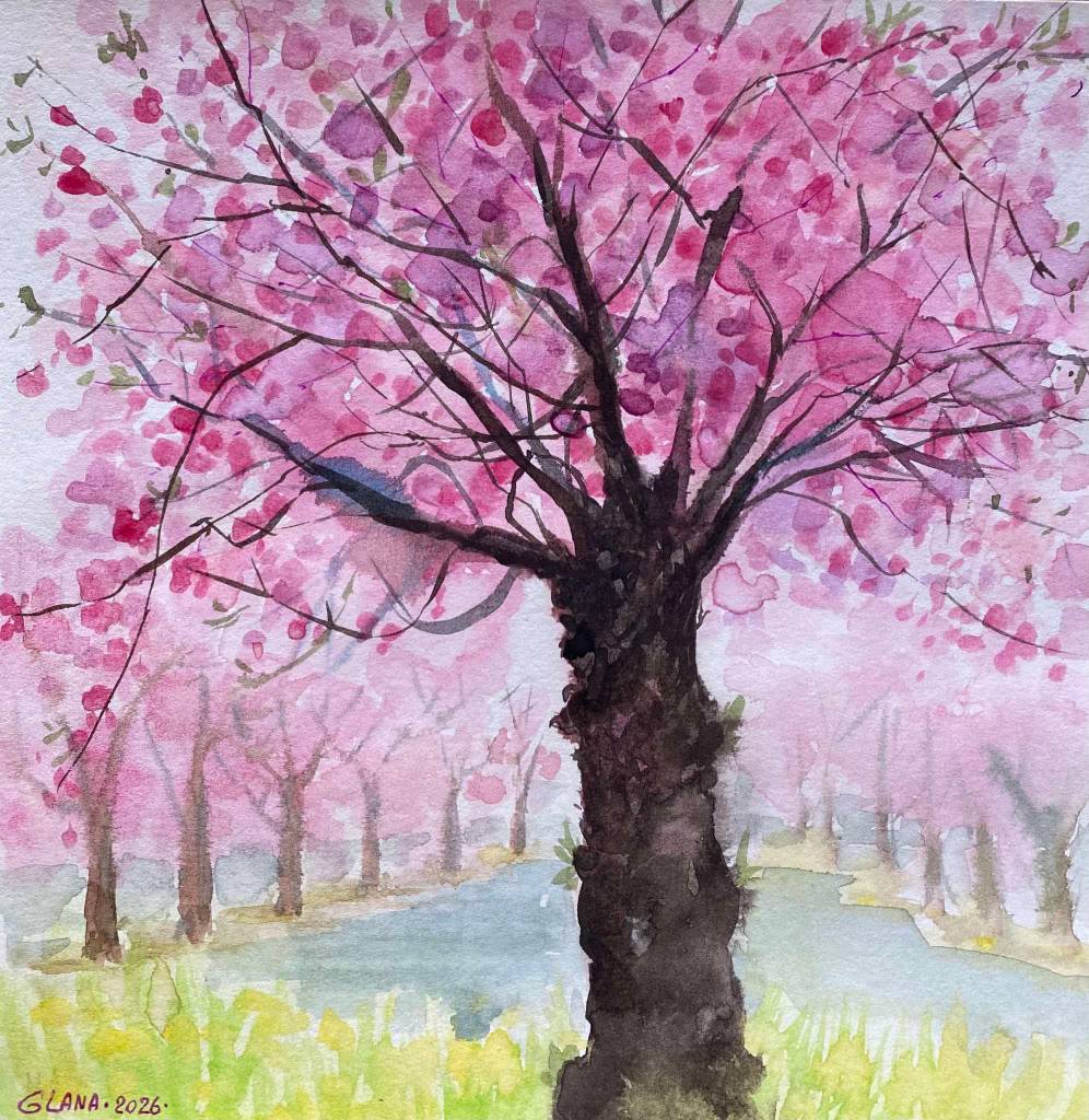 葛拉娜-Sakura alley