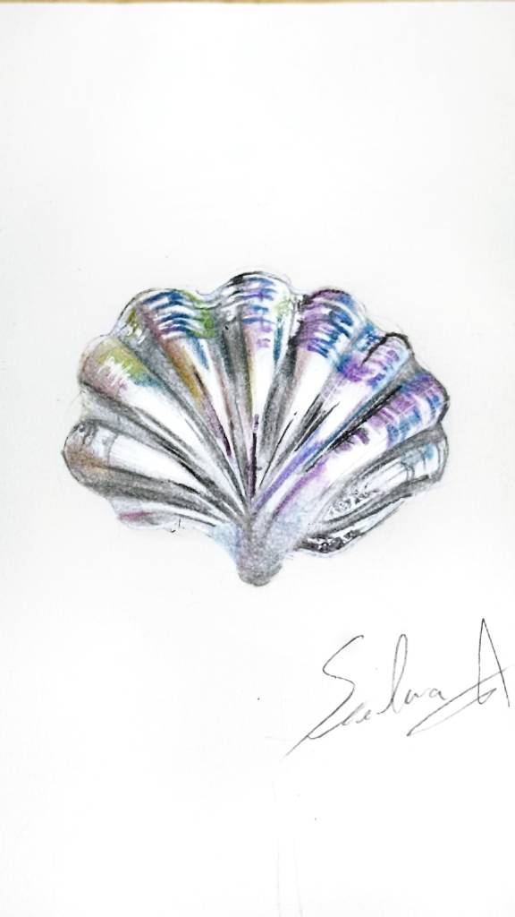 毓Stella-霓彩扇貝 Neon Scallop