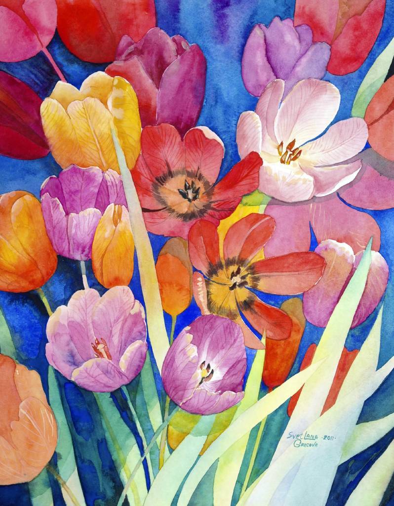 葛拉娜-鬱金香 Tulips