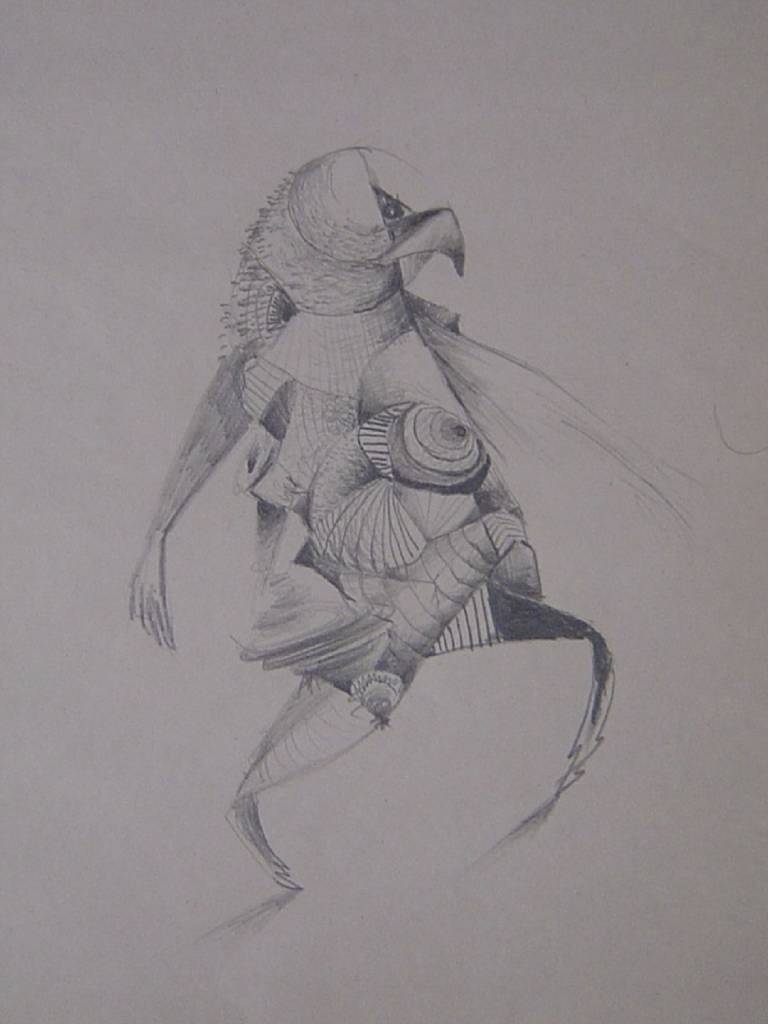 蔡文龍-鳥人系列---4