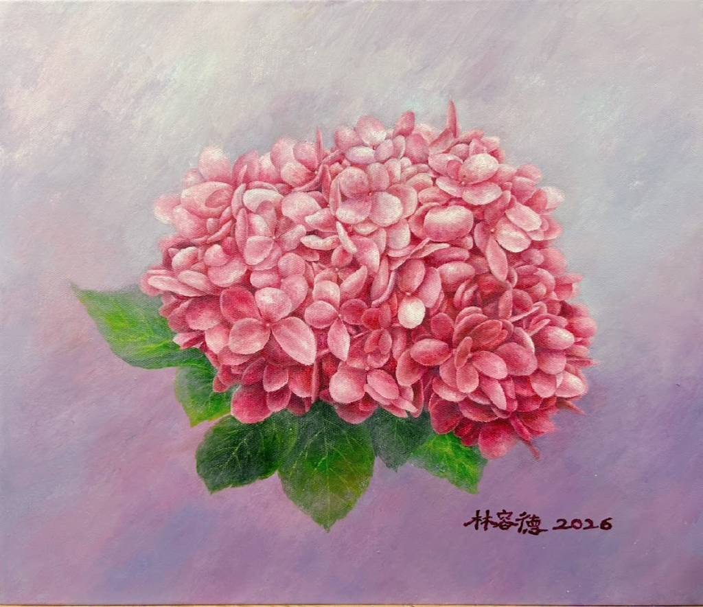 林容德-粉紅色系繡球花Pink hydrangeas