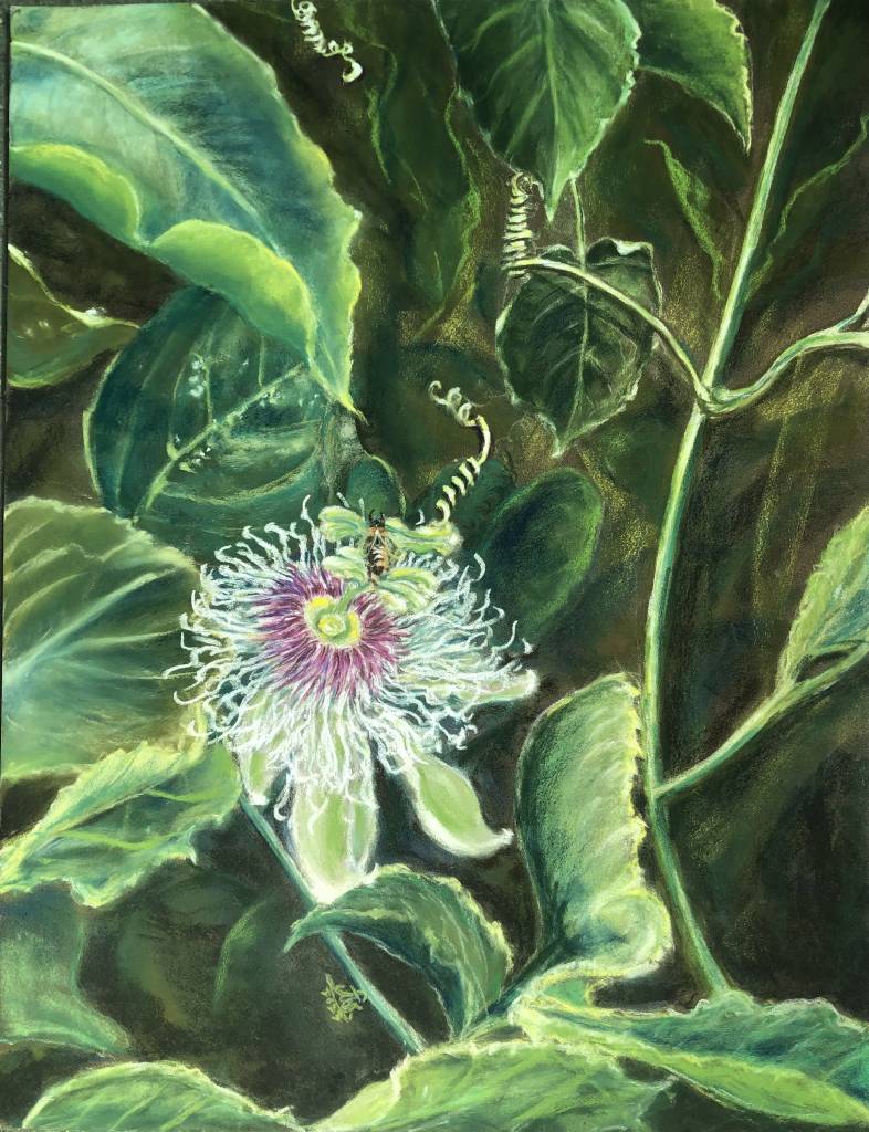 劉菁雯-「翠綠舞影」- 百香果花之戀  