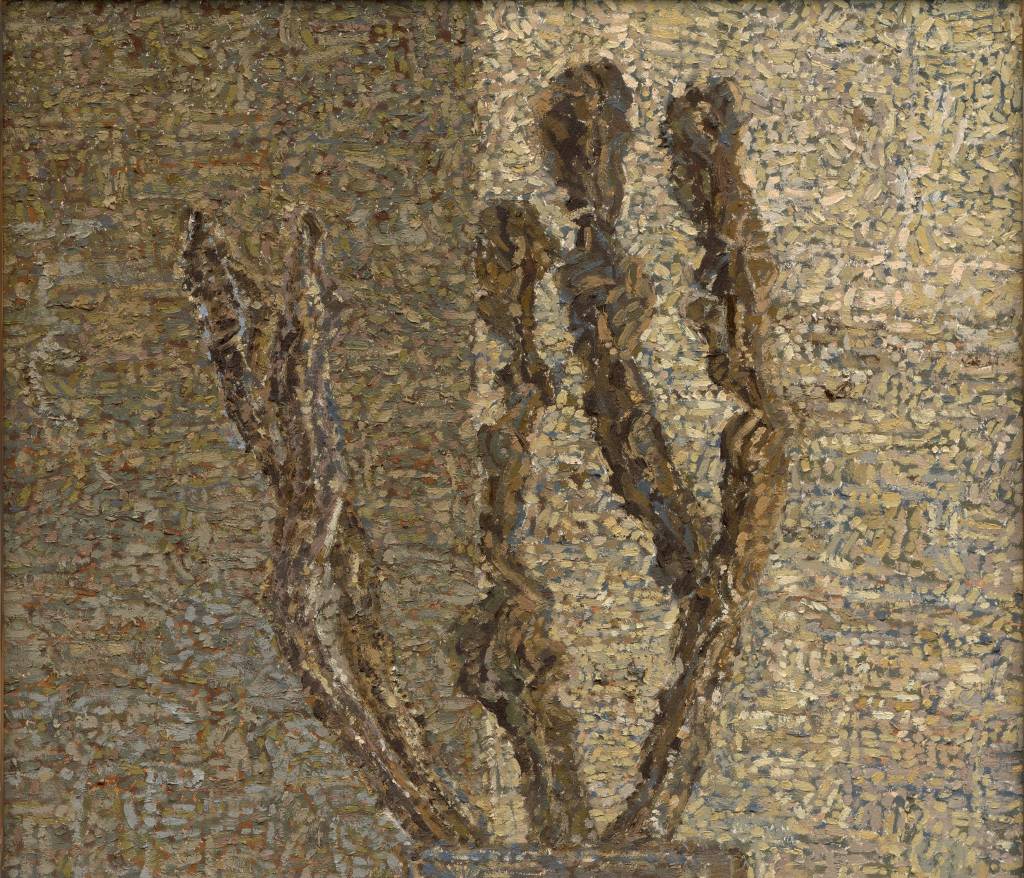 115年「璞玉發光-全國藝術行銷活動」得獎者作品聯展-李建勲－他們的仙人掌_1