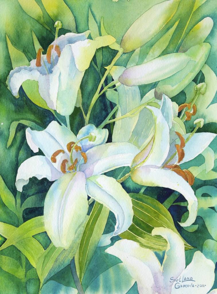 葛拉娜-白色百合花  White lilies