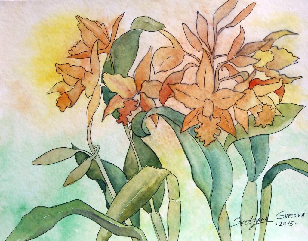 葛拉娜-Orange orchids