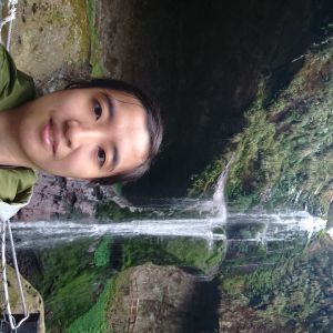 冠禎
