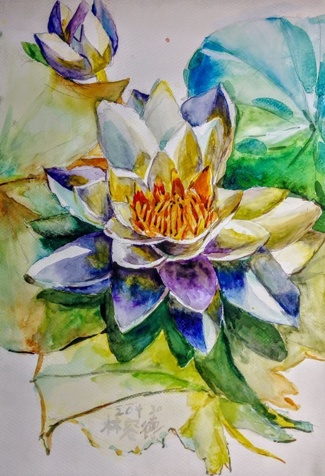蓮花水彩lotus watercolor