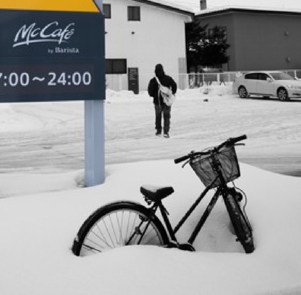 喜歡這種孤冷的傲氣