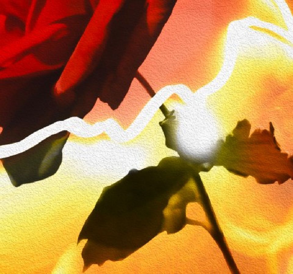 紅色的一個角落